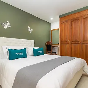 Ayenda Dorado Boutique Colombia